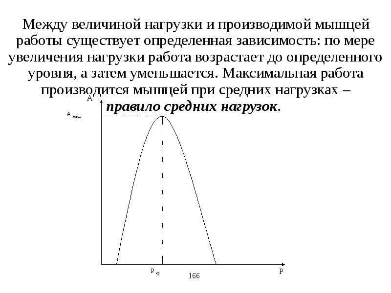 Нарисуйте график зависимости величины динамической работы изолированной мышцы от нагрузки