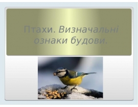 ПТАХИ. Ознаки будови