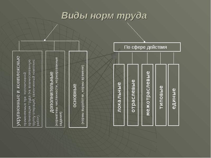 Труд норма право