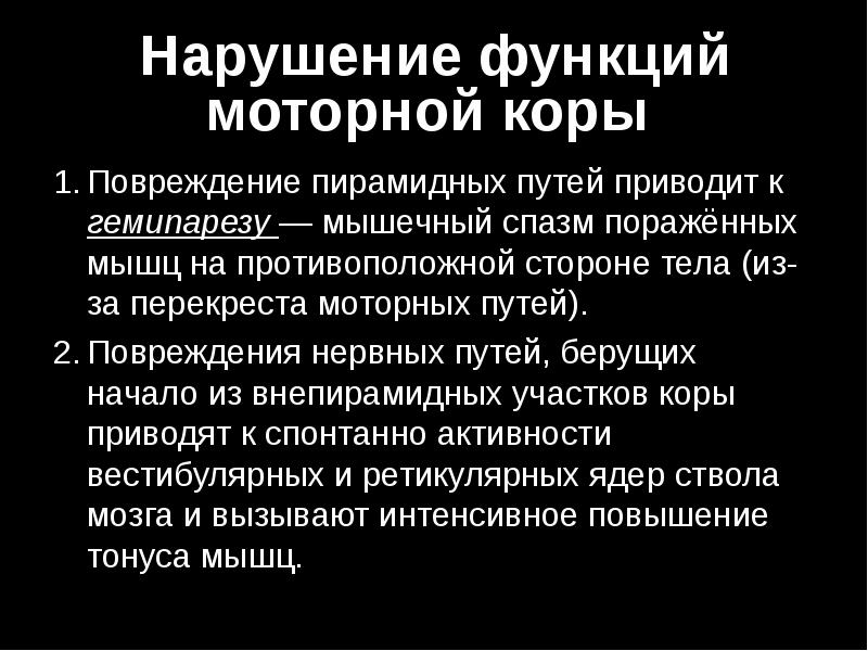 Моторный путь