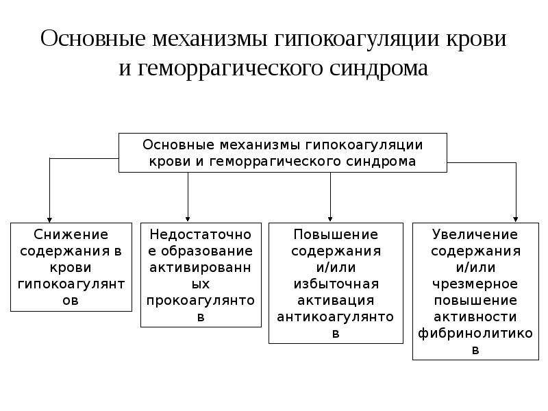 Основные механизмы. Гипокоагуляционно-геморрагический синдром. Патогенез развития геморрагического синдрома. Механизм геморрагического синдрома. Механизм развития геморрагического синдрома.