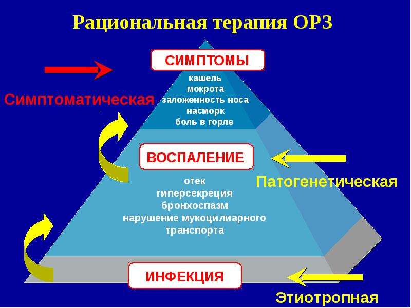 Рациональная терапия. ОРЗ проявления. ОРЗ симптоматика. Патогенетическая терапия ОРЗ.