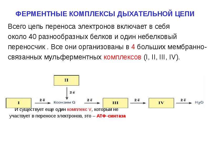 Цепи переноса