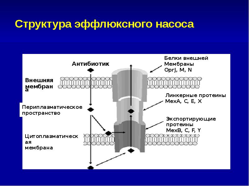 Проект на тему антибиотики вред или польза