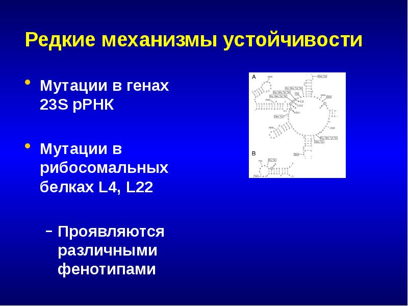 Открытие антибиотиков презентация