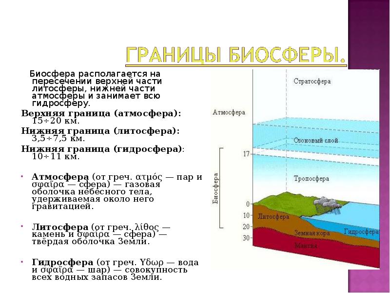 Высота гидросферы