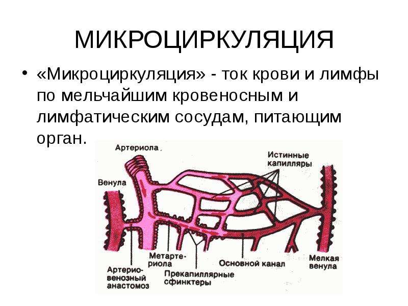 Артериальное давление презентация