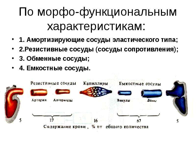 Артериальное давление презентация