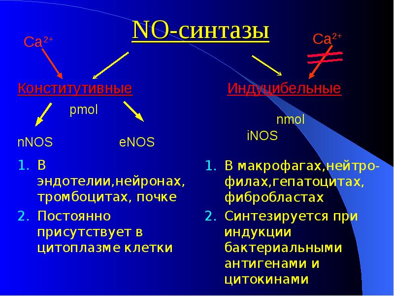 Соединения азота в организме. Роль оксида азота. Физиологическая роль оксида азота. Роль монооксида азота физиологическая. Роль оксида азота в организме.
