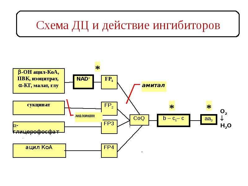 Общая схема микросомального окисления