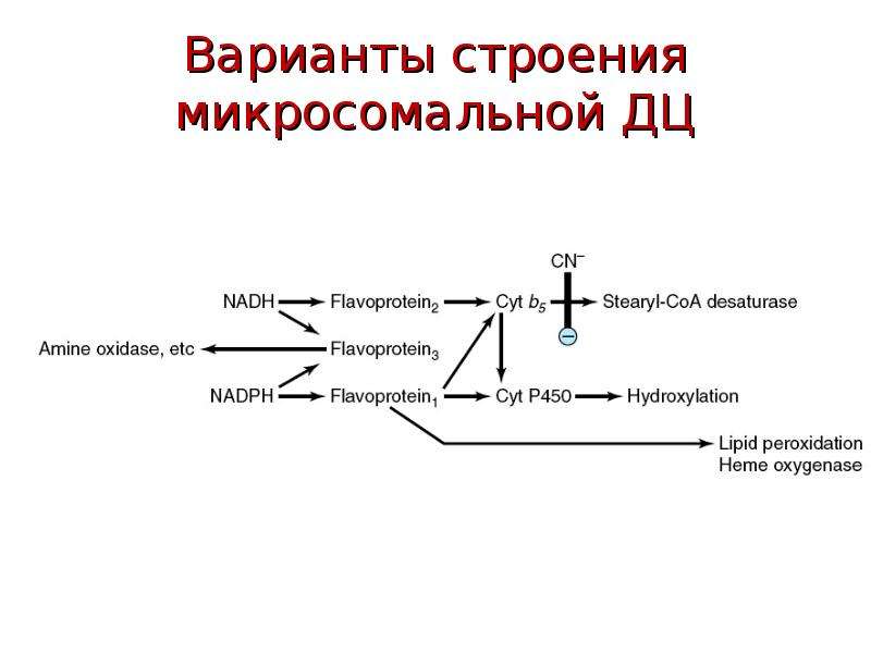 Схема микросомального окисления биохимия