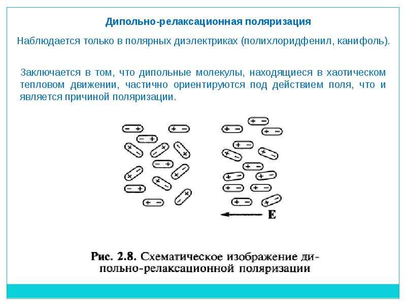 На каком из рисунков правильно изображена поляризация диэлектрика помещенного в однородное