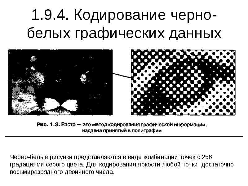 Черно белое графическое изображение имеет размер