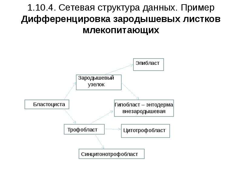 Источники структурной информации. Структура информации. Структура меда. Какими свойствами должна обладать информация.