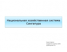 Национальная хозяйственная система Сингапура