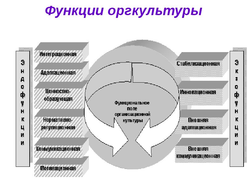 Организационная культура команды проекта