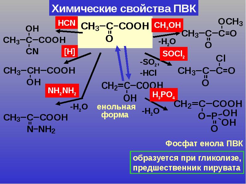 Ch3cooh na2o. Пировиноградная кислота с socl2. Пировиноградная кислота nh2-nh2. ПВК химические свойства. Пировиноградная кислота реакции.