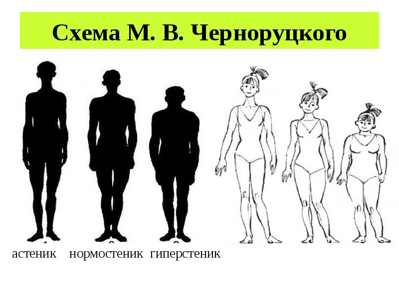 Что такое телосложение. Типы фигур астеник нормостеник гиперстеник. Астеник гиперстеник. Схема Конституции человека по м.в. Черноруцкому. Тип Конституции нормостеник астеник гиперстеник.