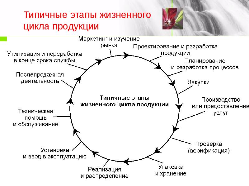 Основные этапы жизненного