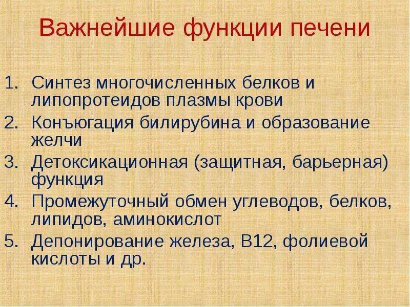 Функции печени депонирование. Депонирование крови в печени. Роль печени в обмене липидов. Роль печени в Синтез белка.