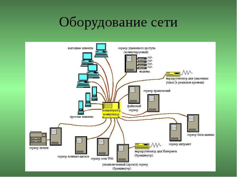 К какому типу оборудования относится сетевая карта