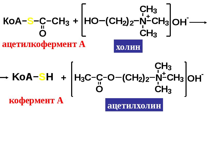Коа кофермент. Тиоэфиры карбоновых кислот. Тиоэфир уксусной кислоты. Образование сложных тиоэфиров. Тиоэфиры структурная формула.