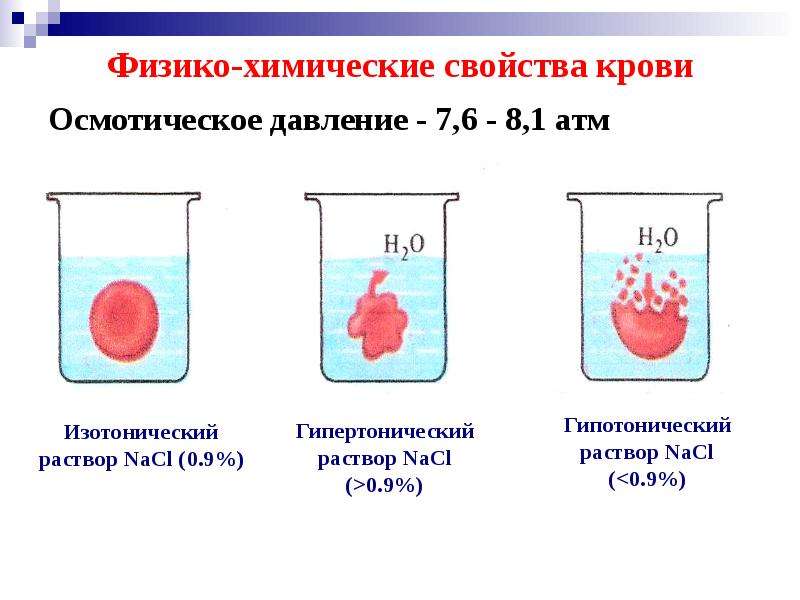 Химия крови проект