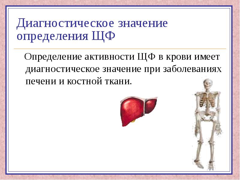 Значение диагностики. Диагностическое значение определения ЩФ. Диагностическое значение при заболеваниях печени имеет. Диагностическое значение. П. Диагностическое значение имеет.