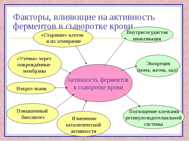 Ферменты в медицине биохимия презентация