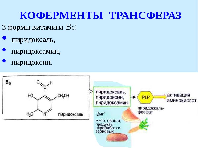 Кофермент витамина в3. Коферменты трансферазных реакций.