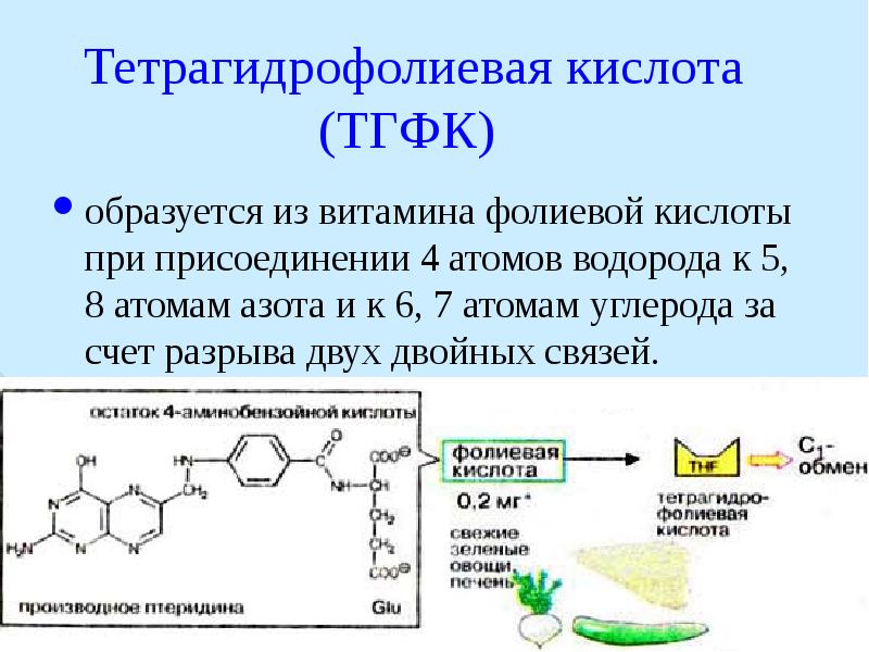 Обмен фолиевой кислоты. ТГФК кофермент витамина. B9 фолиевая кислота кофермент. Фолиевой кислоты ТГФК. Функции тетрагидрофолиевой кислоты.