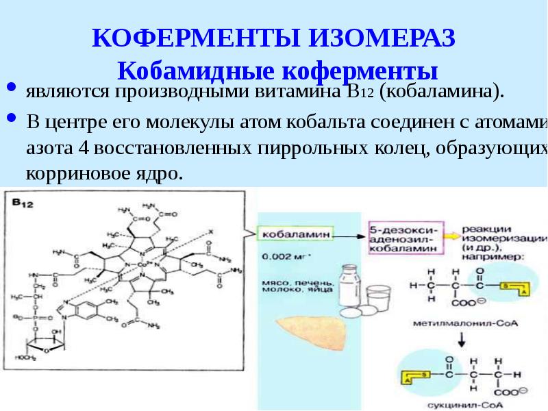 Схема пальмитат синтетазного комплекса