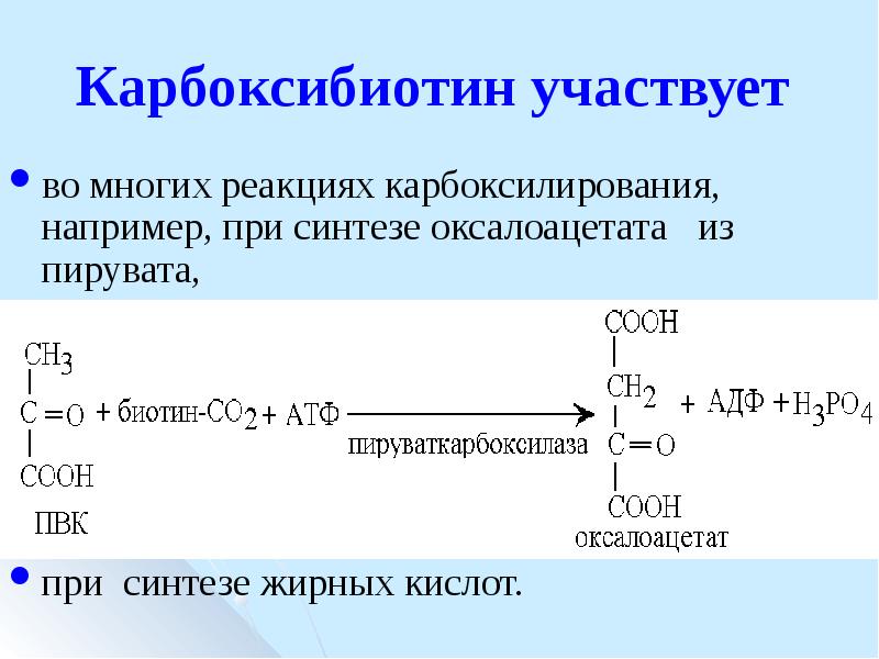 Пластический синтез жиров