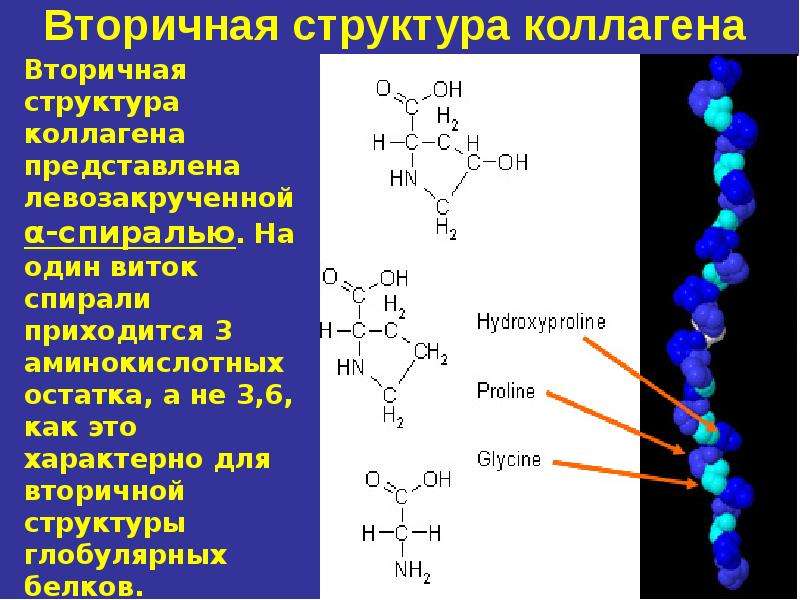 Коллаген состав