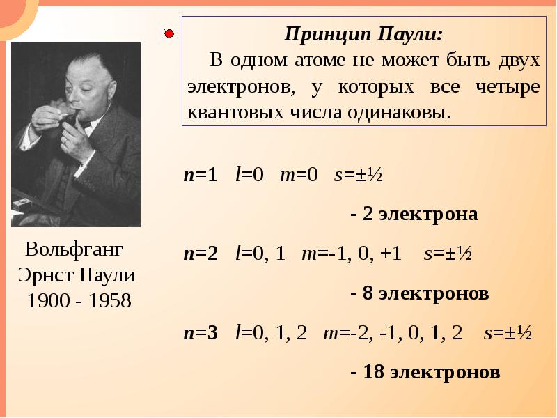 В паули презентация