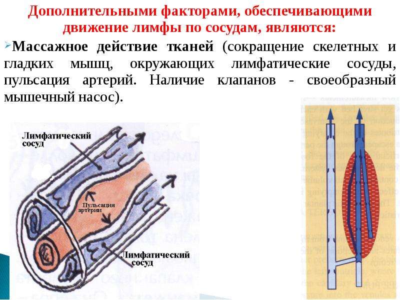 Уменьшение ткани