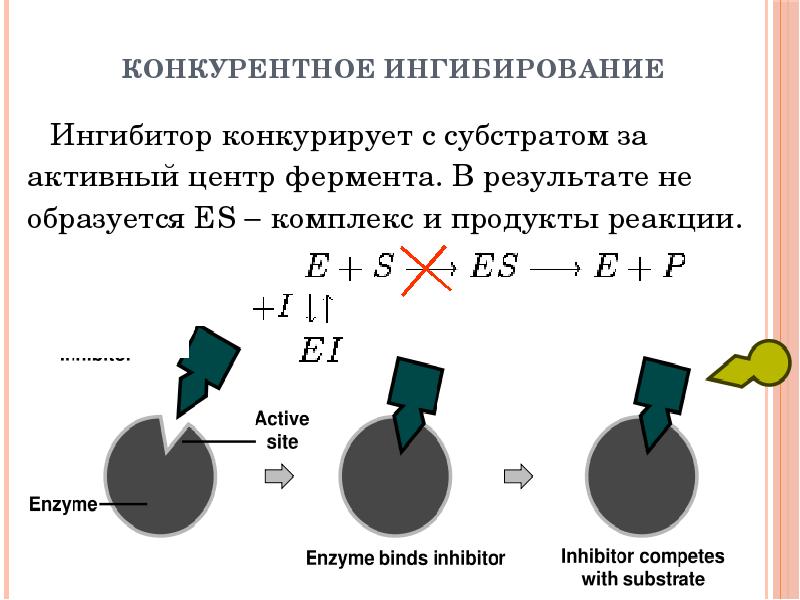 Схема конкурентного ингибирования