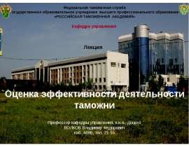 Оценка эффективности деятельности таможни