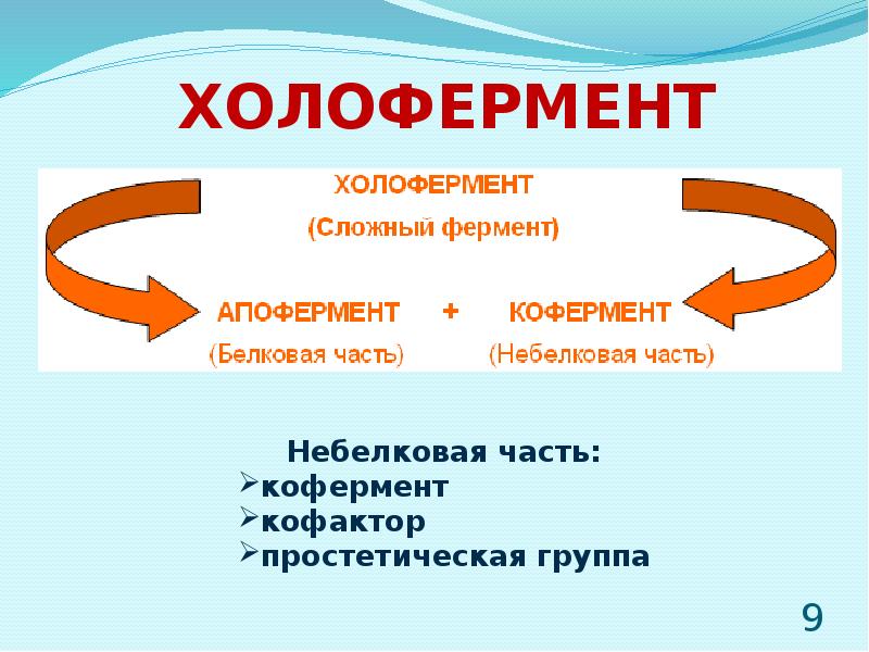 Железо в составе ферментов