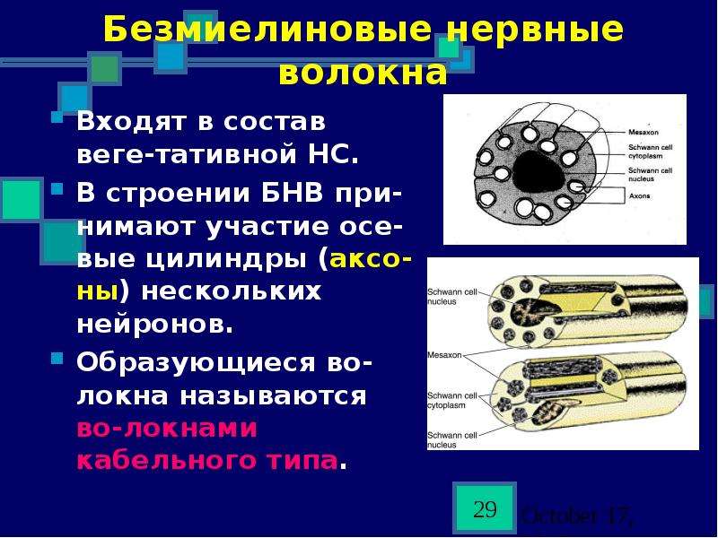 Диапазон это совокупность клеток образующих