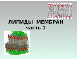 ЛИПИДЫ МЕМБРАН