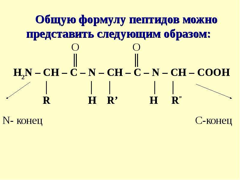 Презентация белки и пептиды