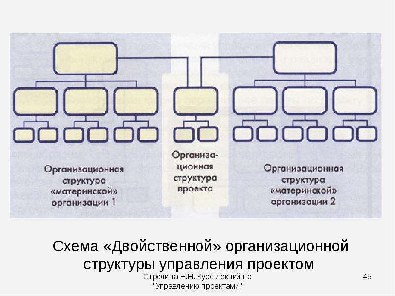 Двойственная организационная структура управления проектом позволяет