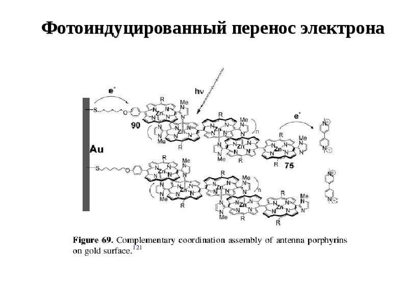 Электрон перенос. Фотоиндуцированный перенос электрона. Процесс фотоиндуцированного переноса электрона. Теория Маркуса переноса электронов. Примеры схем перемещения электронов железа.