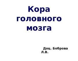Кора головного мозга
