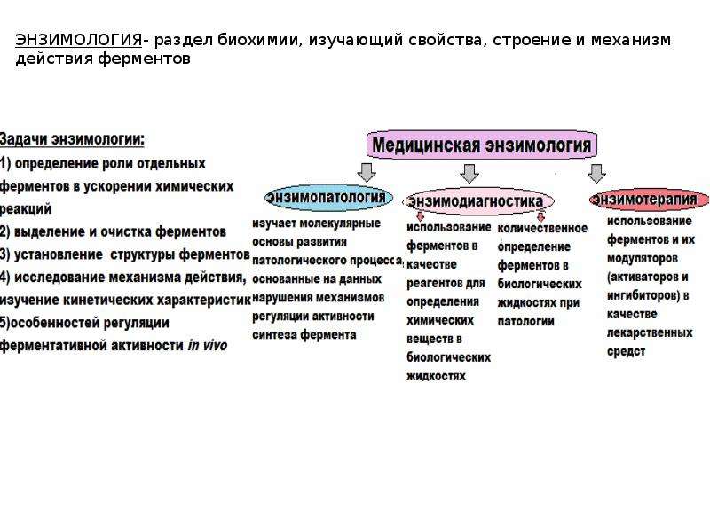 Что изучает биохимия. Медицинская энзимология. Медицинская энзимология биохимия. Задачи энзимологии. Медицинские аспекты энзимологии.