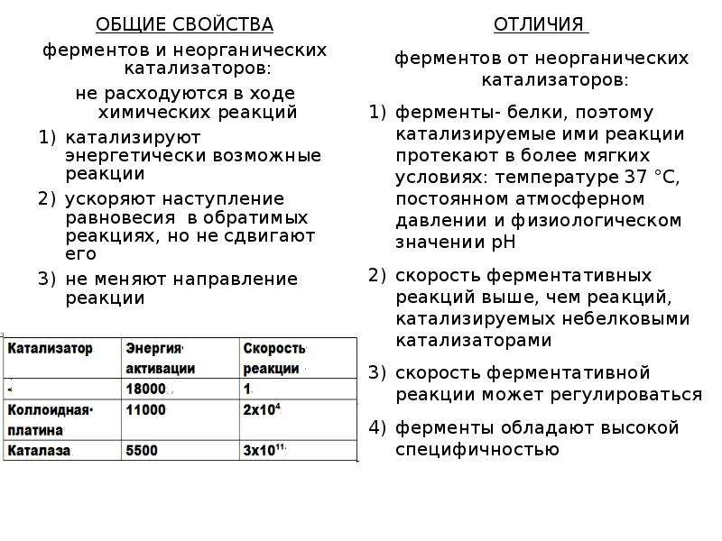 Ферменты отличия. Ферменты и неорганические катализаторы.