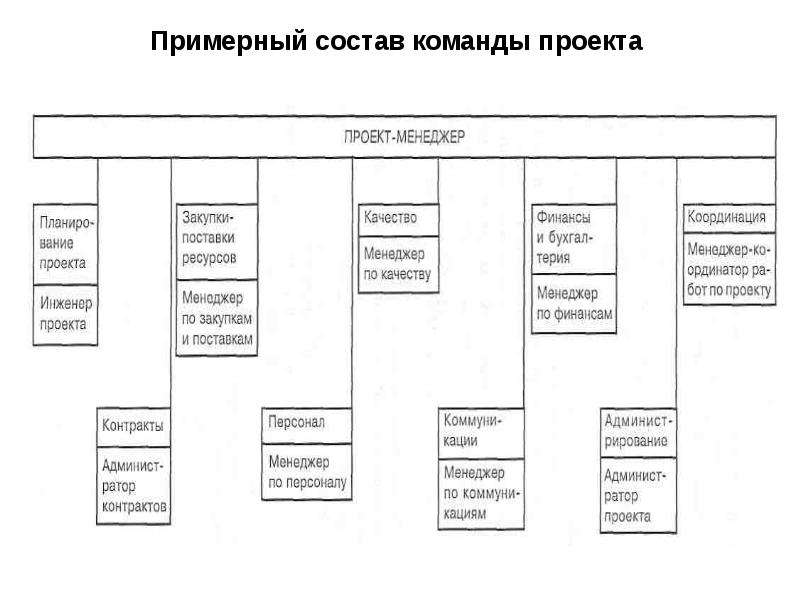 Состав команды проекта