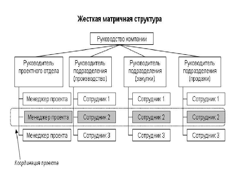 Субъекты управления проектом