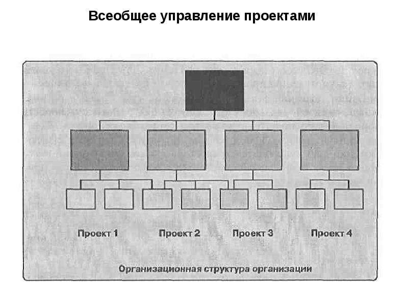 Если в проекте участвуют 2 равнозначные с точки зрения управления проектом организации возникает